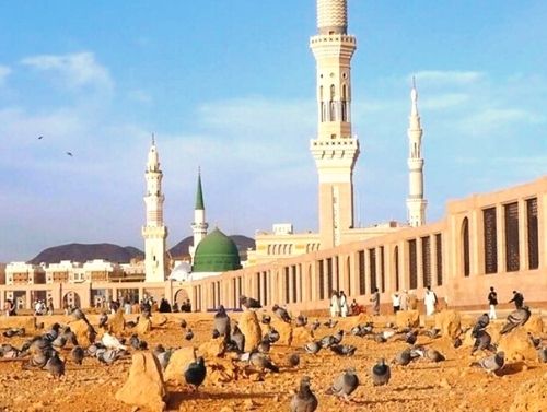 Madinah view